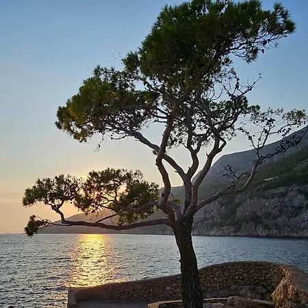 Jagoda Sveta Nedelja (Hvar)