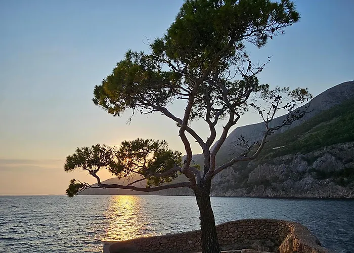 Jagoda Sveta Nedelja (Hvar)