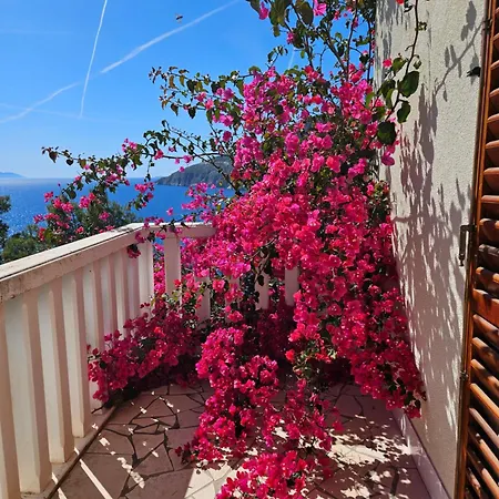 Apartman Jagoda *